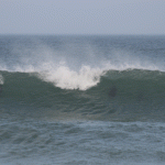 Surfen mit Delfinen-Südafrika