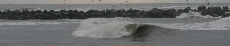 Rockfreaks-Surfblog